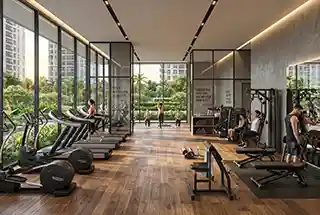 Gymnasium